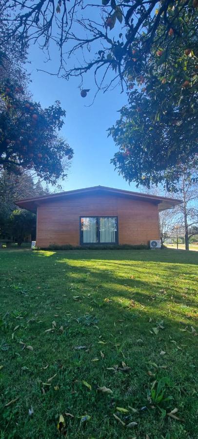 Casa Da Ferreirinha Guest House Faldejaes Exterior photo